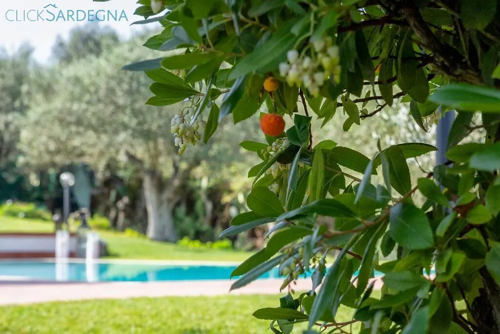 Clicksardegna Villa Angelica Con Piscina E Giardino Alghero Itália
