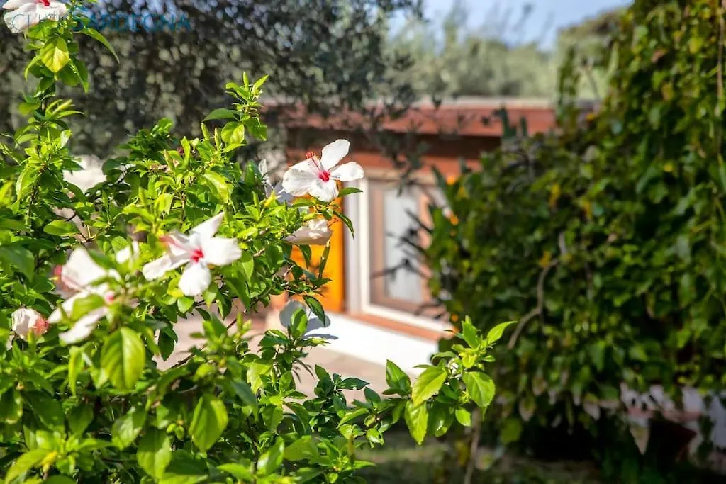 Clicksardegna Villa Angelica Con Piscina E Giardino Alghero